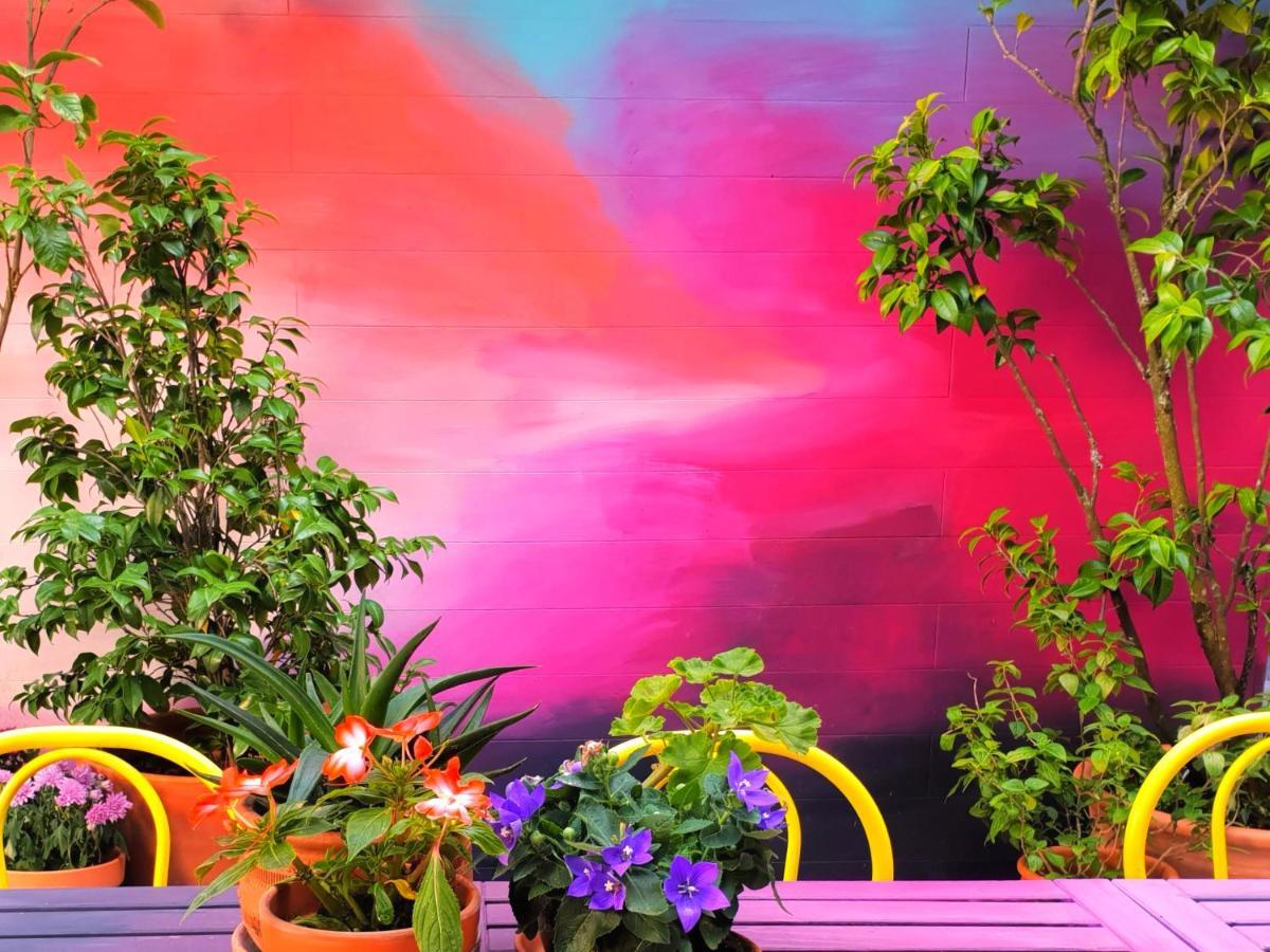 Supernova Hostel